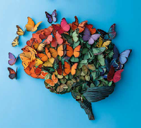 2025-10-27_Neurodiversitaet_Gehirn_Schmetterlinge