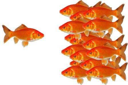 „Das ist Mobbing!“