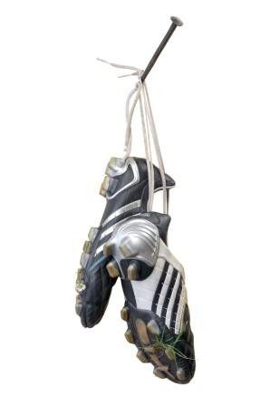 Konflikte bei der Insolvenz von Sportvereinen am Beispiel des VfB Leipzig